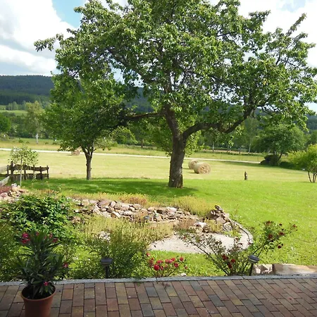 Appartement 5-sterne-fewo 